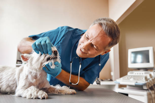 Best Dentist for Tooth Abscess  in Smithville, MO